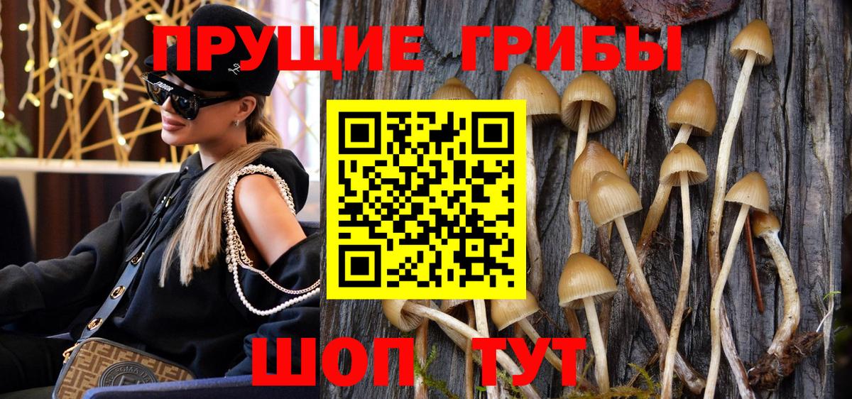Псилоцибиновые грибы ЛСД Соль-Илецк