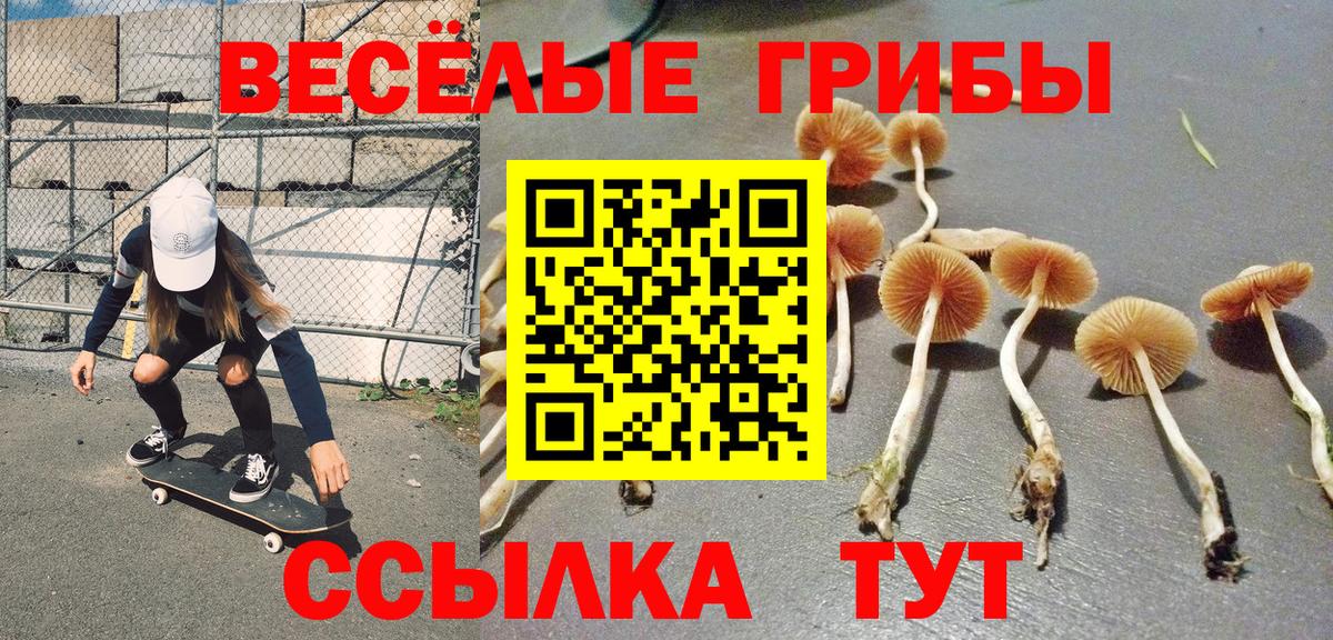 Соль-Илецк  Галлюциногенные грибы Cubensis  как найти закладки  Вход с VPN 