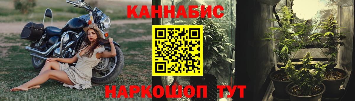 Бошки марихуана планчик  Вход с VPN  Каннабис White Widow  Канабис VHQ  Соль-Илецк 